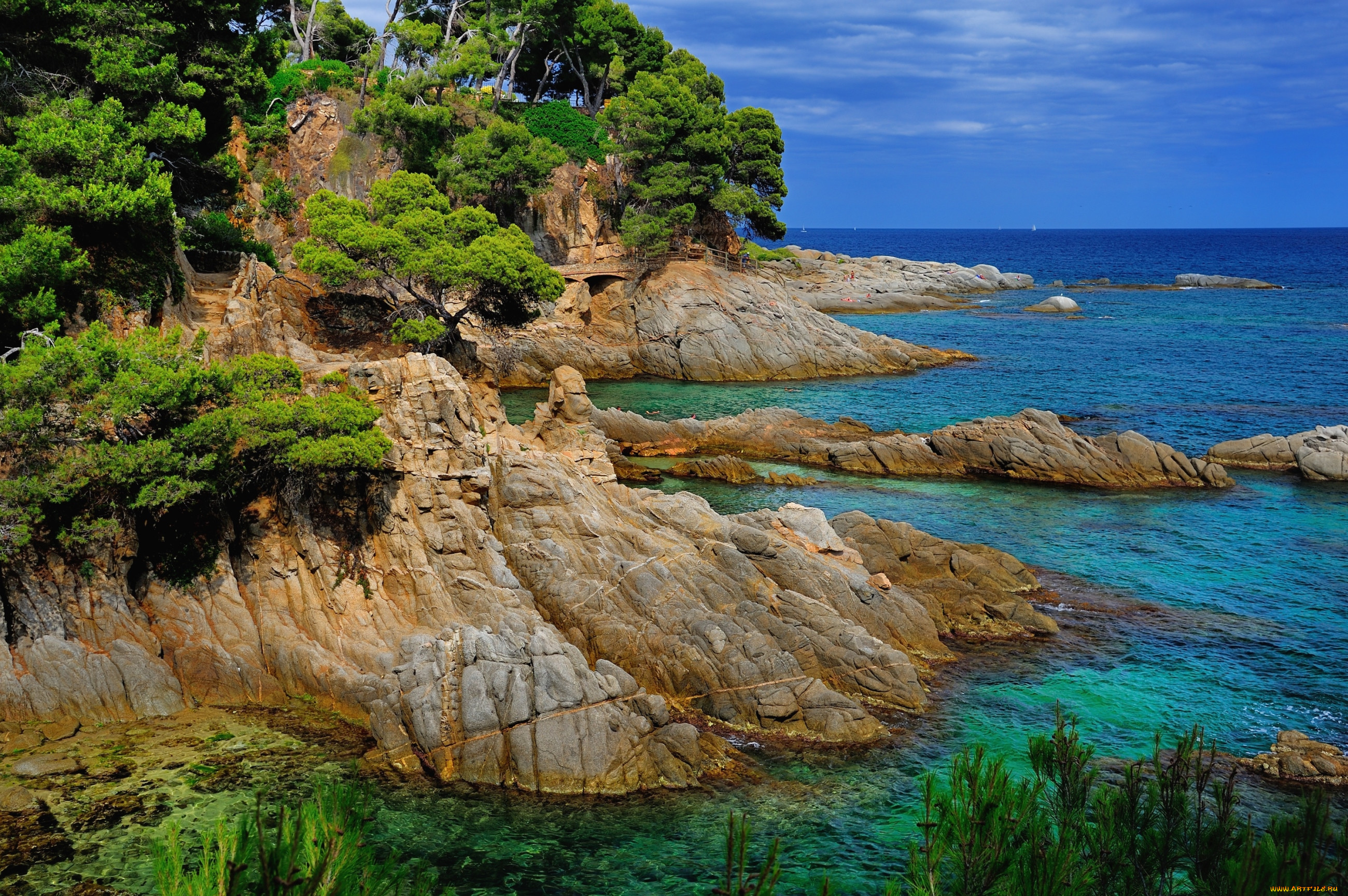 Крас берег. Деревья Коста Брава. Эгейское море скалы. Costa Brava, Испания скалы. Коста Брава сосны.